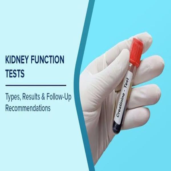 KIDNEY FUNCTION TEST 